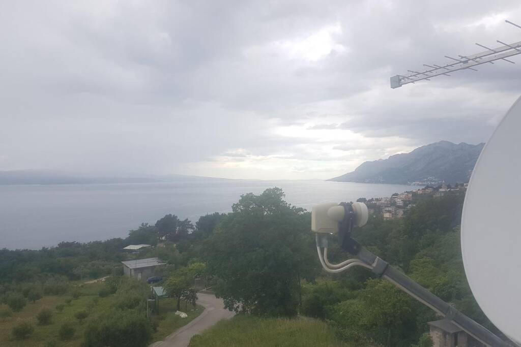 Apartman Nela 布雷拉 外观 照片